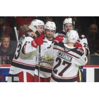 Grand Rapids Griffins celebrate win