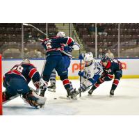 Saginaw Spirit Fall battle the Mississauga Steelheads