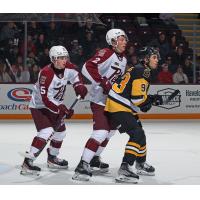 Peterborough Petes' Carson Cameron and Samuel Mayer and Brantford Bulldogs' Patrick Thomas on the ice