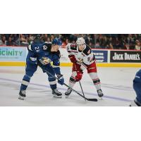 Grand Rapids Griffins vs. the Colorado Eagles