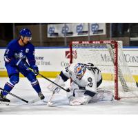 Worcester Railers goaltender Tristan Lennox smother a shot