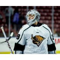 Utah Grizzlies goaltender Garrett Metcalf