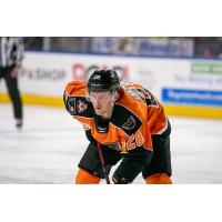 Lehigh Valley Phantoms right wing Olle Lycksell