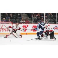 Belleville Senators'  Mads Sogaard and  Maxence Guenette battles Milwaukee Admirals' Denis Gurianov