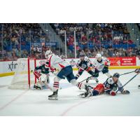 Springfield Thunderbirds take on the Hartford Wolf Pack