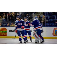 South Carolina Stingrays on the ice