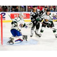 Utah Grizzlies' Garrett Metcalf and Kyle Betts and Idaho Steelheads' Colton Kehler on game night