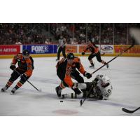 Lehigh Valley Phantoms' Elliot Desnoyers and Ronnie Attard versus Hershey Bears' Mike Sgarbossa