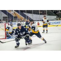 Worcester Railers battle the Norfolk Admirals