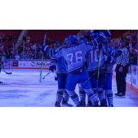 Wichita Thunder react after a goal