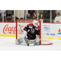 Birmingham Bulls goaltender Hayden Stewart