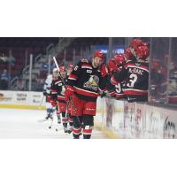 Grand Rapids Griffins exchange congratulations along the bench