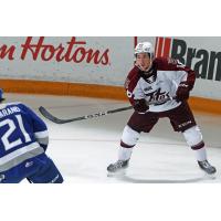 Peterborough Petes forward Connor Lockhart