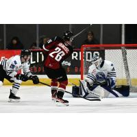 Vancouver Giants' Justin Ivanusec in action