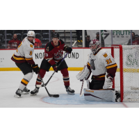 Tucson Roadrunners' Nathan Smith and Chicago Wolves' Tory Dello and Adam Scheel on game night