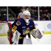 Erie Otters goaltender Ben Gaudreau