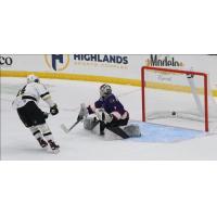 Wheeling Nailers forward Jordan Frasca scores against the Reading Royals