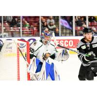 Utah Grizzlies goaltender Trent Miner