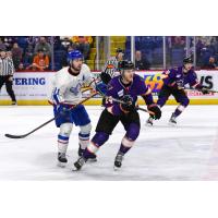 Reading Royals forward Jacob Gaucher