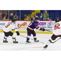 Reading Royals defenseman Darren Brady