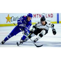 Wichita Thunder's Peter Bates and Utah Grizzlies' Mick Messner in action