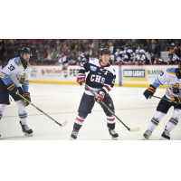 South Carolina Stingrays' Josh Wilkins on the ice