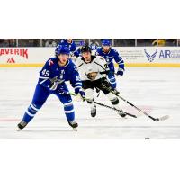 Wichita Thunder's Lleyton Moore in action