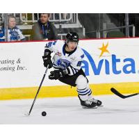 Wenatchee Wild's Kenta Isogai in action