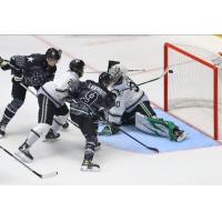 Wheeling Nailers battle the Idaho Steelheads