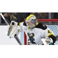 Iowa Heartlanders goaltender Peyton Jones