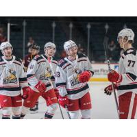 Grand Rapids Griffins gather following a goal