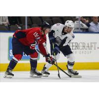 South Carolina Stingrays' Josh Wilkins versus Jacksonville Icemen's Derek Lodermeier