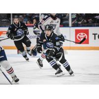 Wenatchee Wild's Kenta Isogai in action