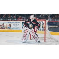 Grand Rapids Griffins goaltender John Lethemon