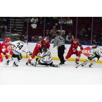 Allen Americans battle the Idaho Steelheads