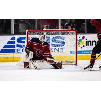 Red Deer Rebels goaltender Rhett Stoesser