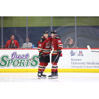 Tucson Roadrunners forwards John Leonard and Cameron Hebig