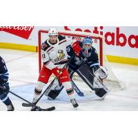 Grand Rapids Griffins right wing Joel L'Esperance