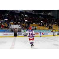 Kitchener Rangers' Antonino Pugliese on game night