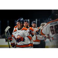 Greenville Swamp Rabbits' Brannon McManus celebrates win