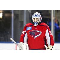 South Carolina Stingrays' Mitchell Gibson