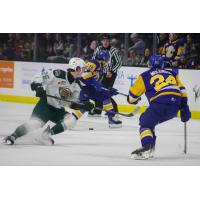 Saskatoon Blades battle the Everett Silvertips