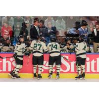 Utah Grizzlies along the bench