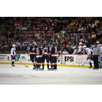 Greenville Swamp Rabbits on the ice