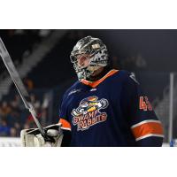 Greenville Swamp Rabbits' Ryan Bednard