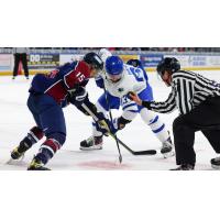 Wichita Thunder face off with the Tulsa Oilers