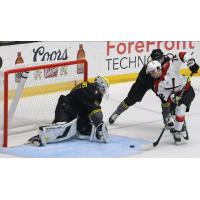 Wheeling Nailers forward Lukas Svejkovsky looks for a goal against the Iowa Heartlanders