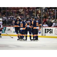 Greenville Swamp Rabbits huddle