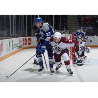 Peterborough Petes defenceman Cam Gauvreau battles the Sudbury Wolves as goaltender Zach Bowen looks on