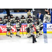 Utah Grizzlies along the bench